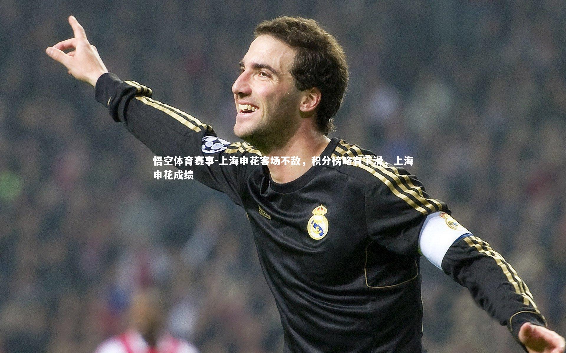 上海申花客场不敌，积分榜略有下滑，上海申花成绩