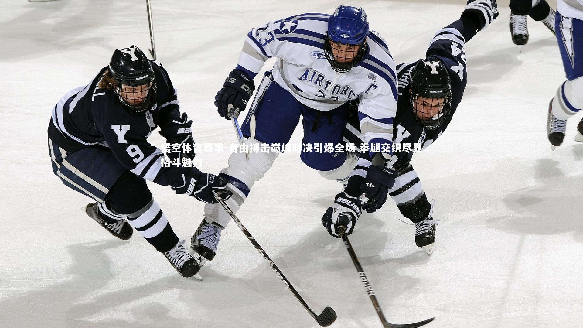 自由搏击巅峰对决引爆全场 拳腿交织尽显格斗魅力