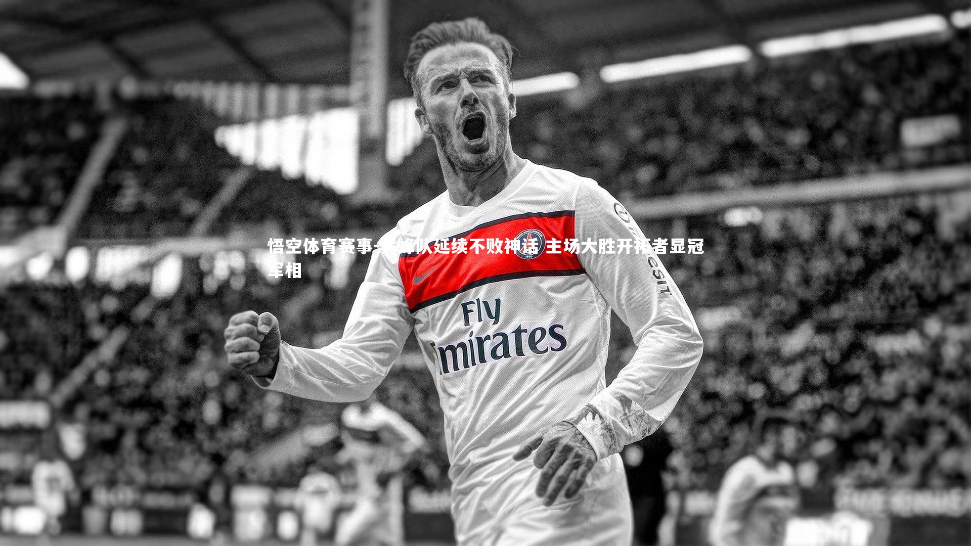 黄蜂队延续不败神话 主场大胜开拓者显冠军相