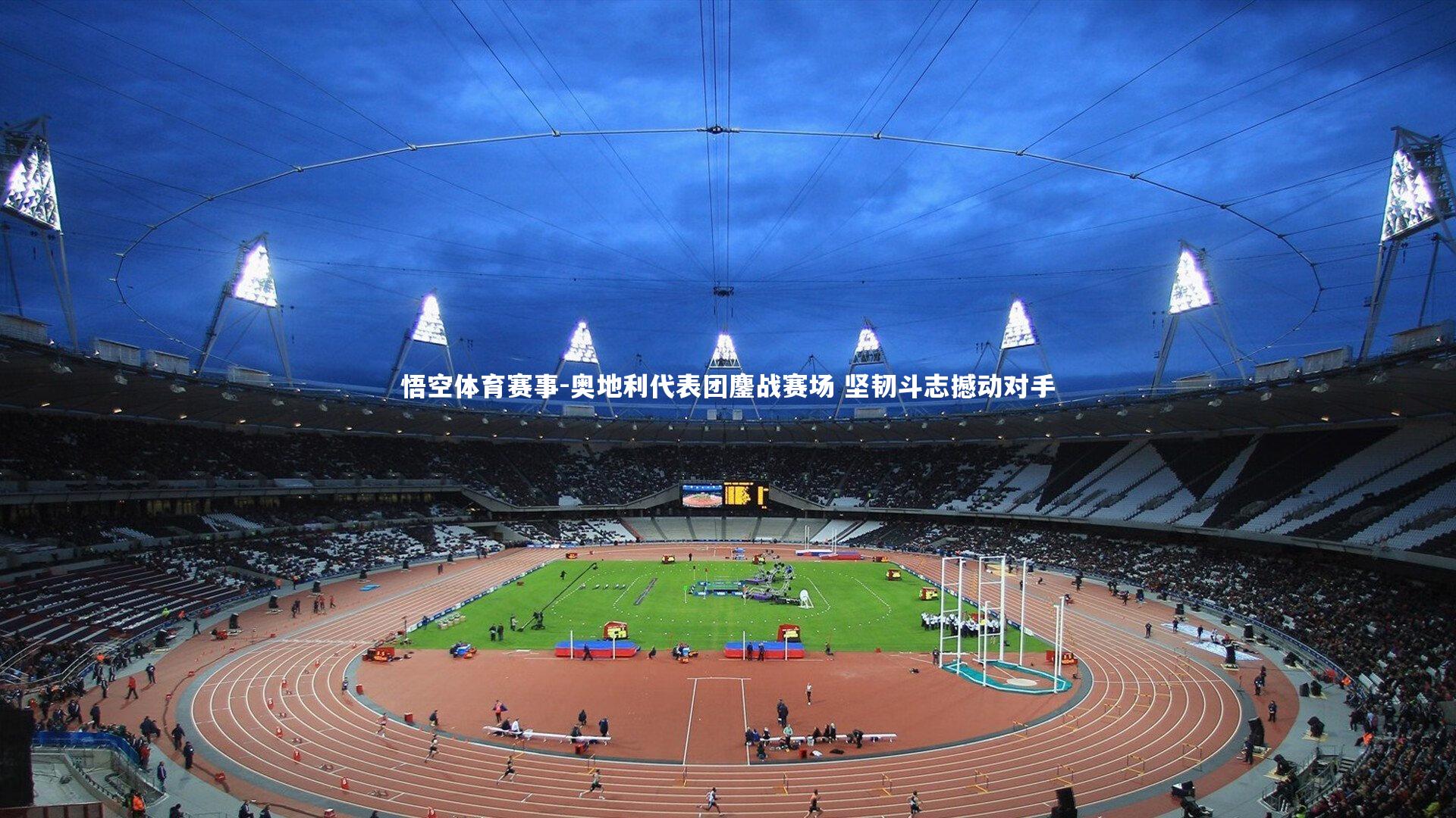 奥地利代表团鏖战赛场 坚韧斗志撼动对手